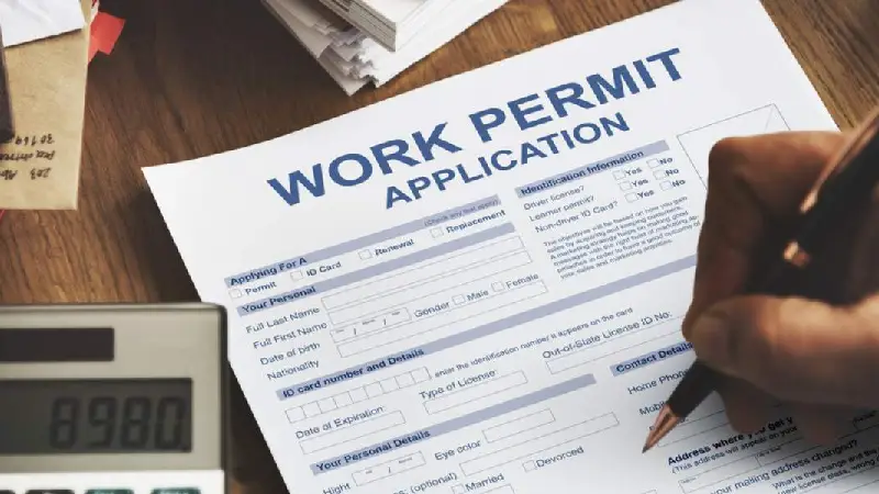 انواع work permit