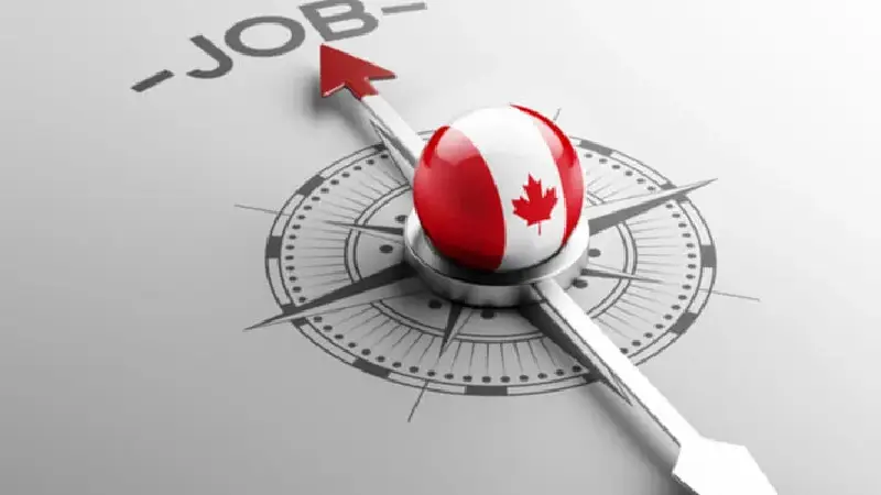 روش‌های دریافت جاب آفر کانادا برای مهاجرت کاری و اقامت دائم